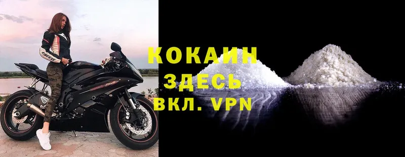 COCAIN Fish Scale  kraken зеркало  Володарск 